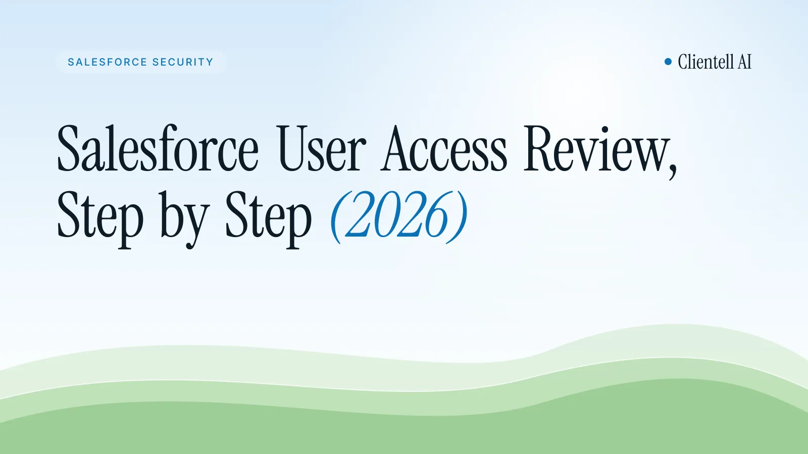 Salesforce User Access Review: A Quarterly Permissions Check